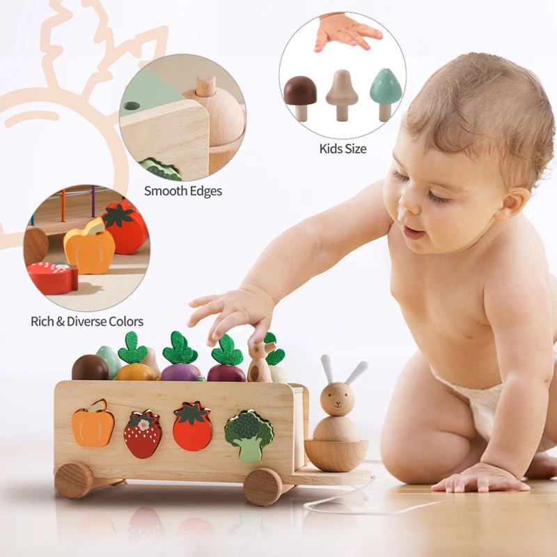 Conjunto de Brinquedo de Madeira Montessori